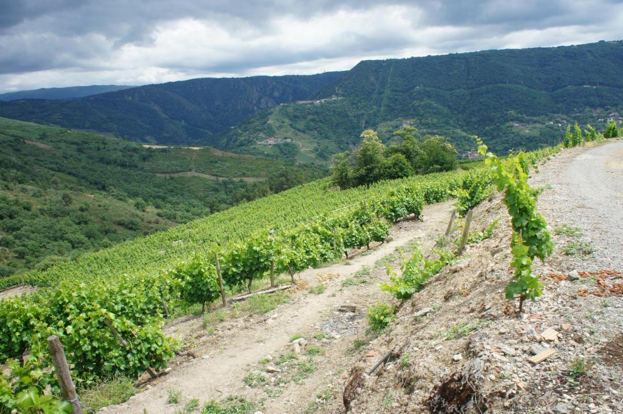 Apartamento O Fogón Casa Ferrador Ribeira Sacra *